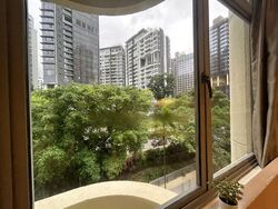 Mount Elizabeth Link (D9), Apartment #466088941